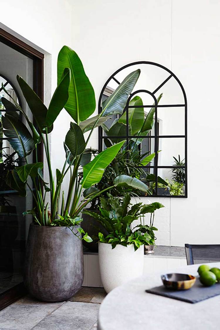 How to incorporate the greenery trend