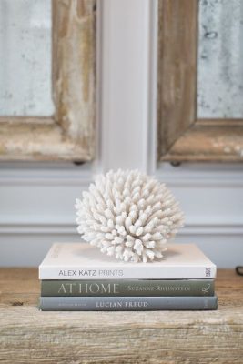 A coastal style vignette - 5 steps to achieve this
