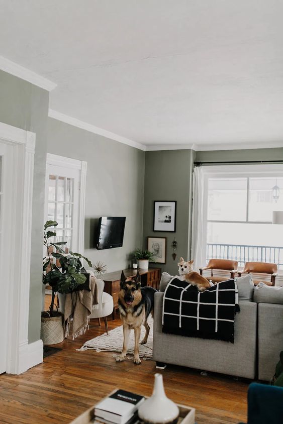 How to use Sage Green