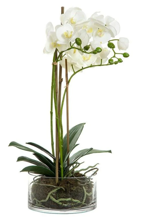 Artificial orchid in round glass vase